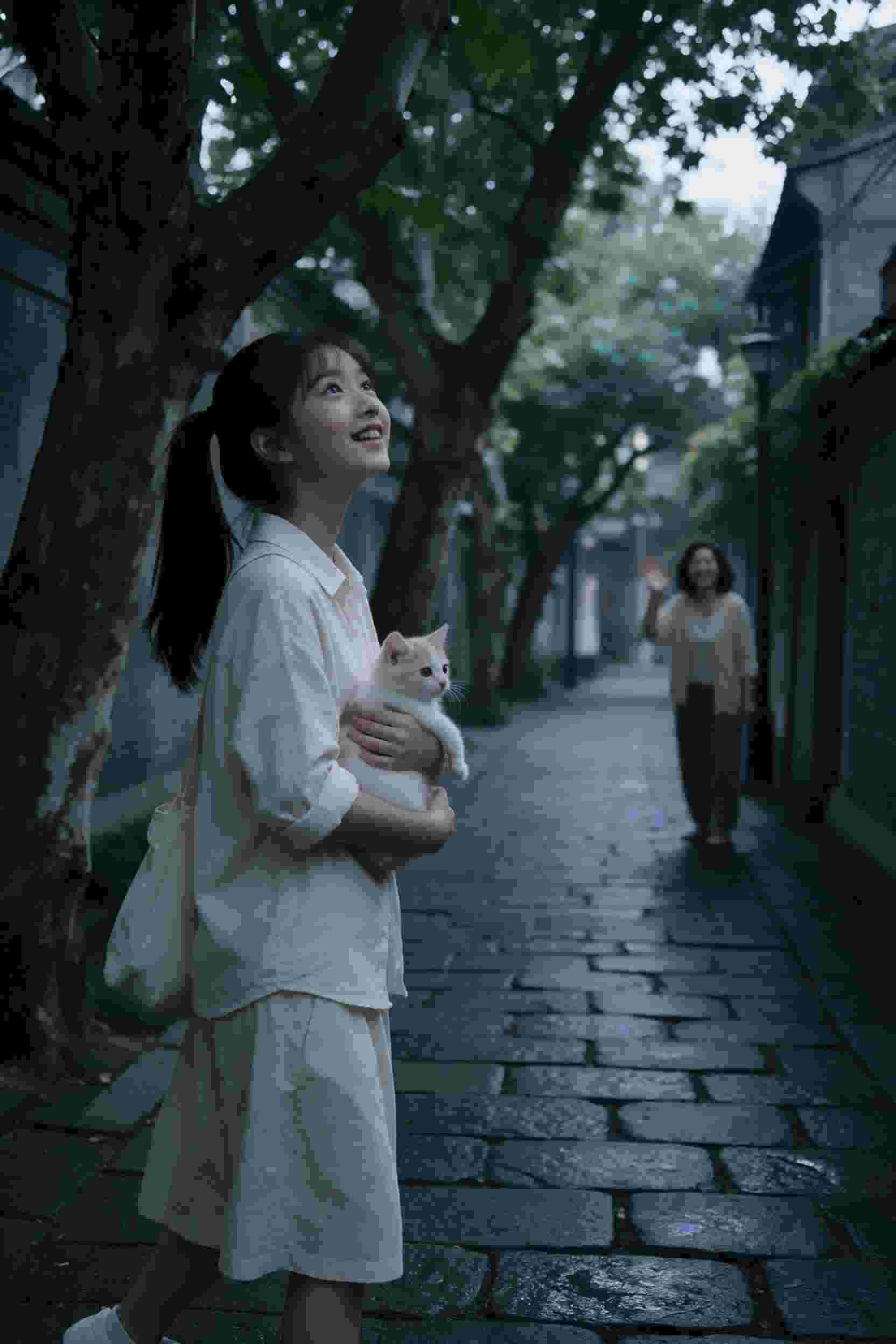 转生成蜘蛛